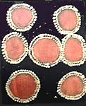 Lucy Napaljarri Kennedy