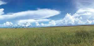 Wetlands of Kakadu National Park