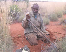 Digging for wirtchetty grubs